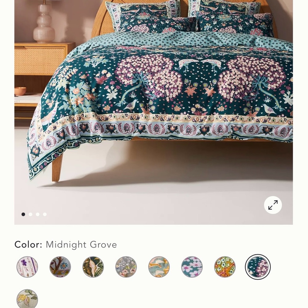 Anthropologie Queen Duvet Cover with 3 Euro Shams and 2 King Cases